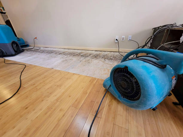 Professional Sewage Cleanup technician working in Ardmore, OK